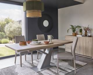 Setis Y-leg table with extension
